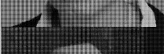 Header image for Stienette Bosklopper