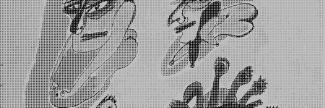 Header image for Sarah Jonker